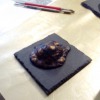 Urzeitmuscheltierchen
